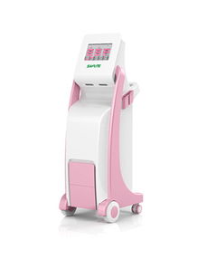 產(chǎn)后康復綜合治療儀 鄭州賽福特醫(yī)療設(shè)備代理加盟 招商代理 東方醫(yī)療器械網(wǎng)